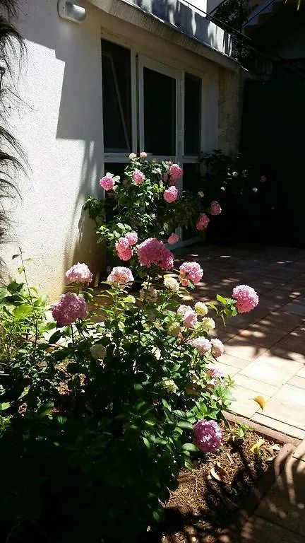 Apartments Palm House Rovinj